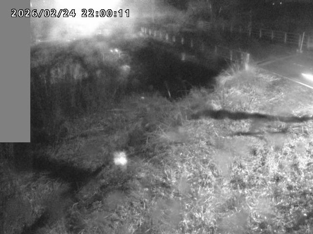 妻木川１2026/02/25 2:40:00