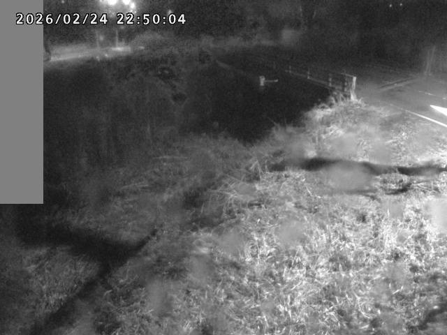 妻木川１2026/02/25 2:40:00