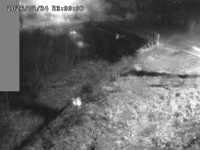 妻木川１2026/02/25 2:40:00