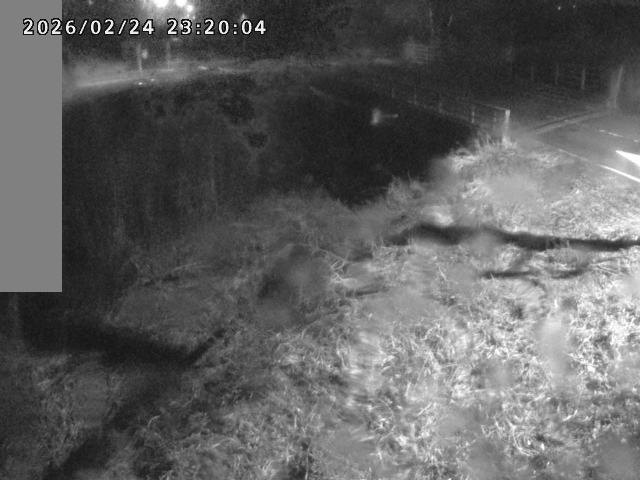 妻木川１2026/02/25 2:40:00