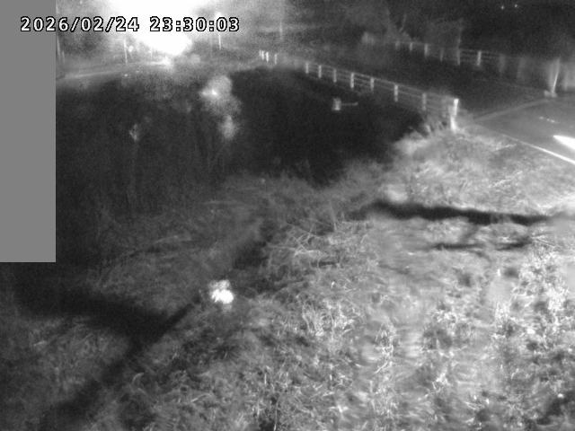 妻木川１2026/02/25 2:40:00