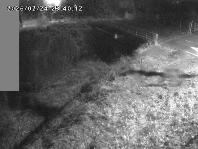 妻木川１2026/02/25 2:40:00