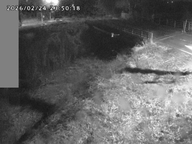 妻木川１2026/02/25 2:40:00