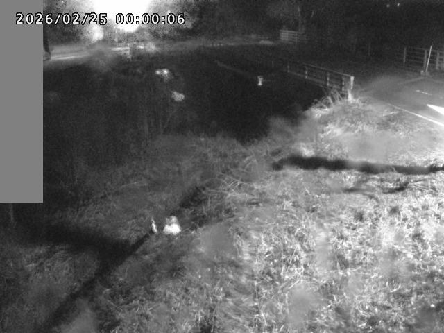 妻木川１2026/02/25 2:40:00