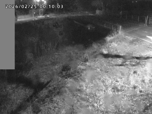 妻木川１2026/02/25 2:40:00