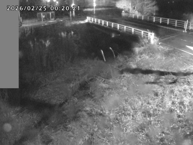 妻木川１2026/02/25 2:40:00