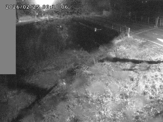 妻木川１2026/02/25 2:40:00