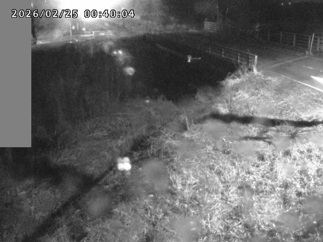 妻木川１2026/02/25 2:40:00