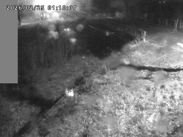 妻木川１2026/02/25 2:40:00