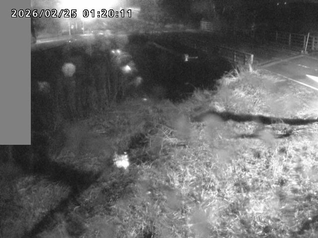 妻木川１2026/02/25 2:40:00