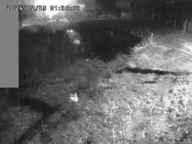 妻木川１2026/02/25 2:40:00