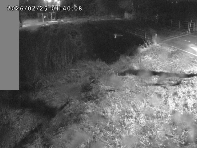 妻木川１2026/02/25 2:40:00