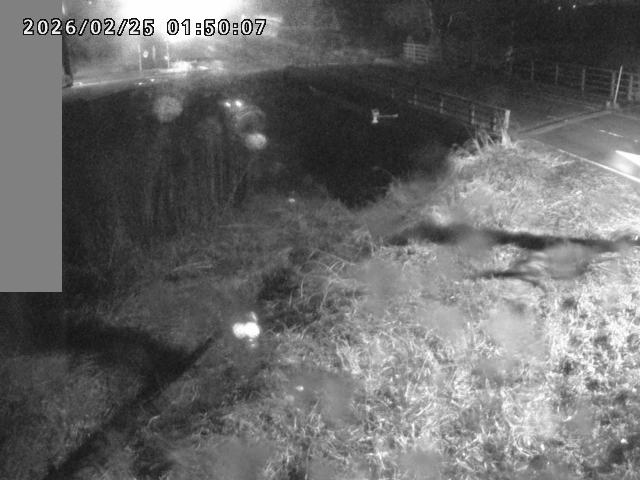 妻木川１2026/02/25 2:40:00