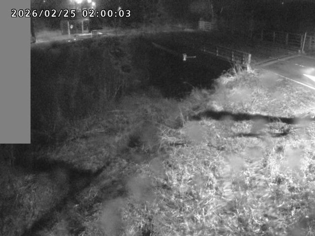 妻木川１2026/02/25 2:40:00