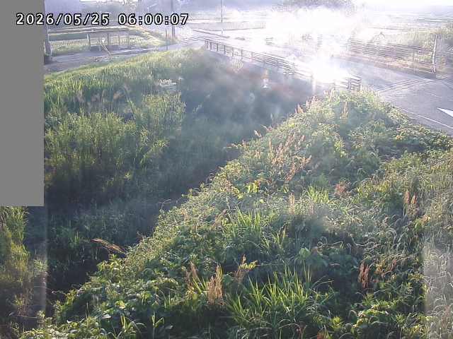 妻木川１2026/05/25 21:30:00