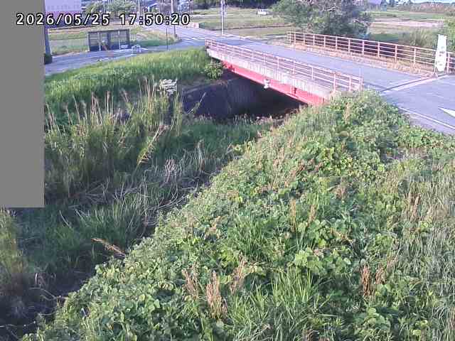 妻木川１2026/05/25 21:30:00