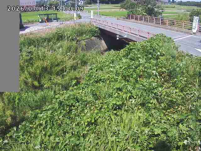 妻木川１2026/07/14 15:20:00