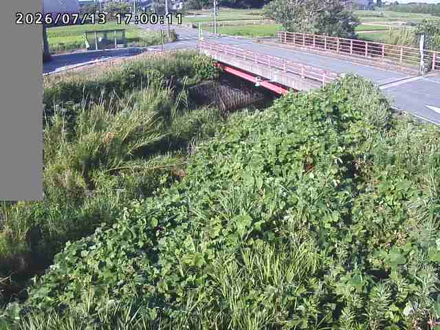 妻木川１2026/07/14 15:20:00
