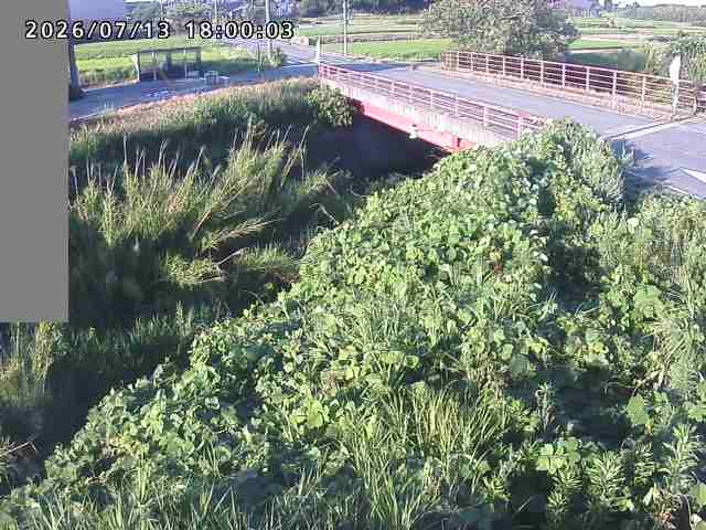 妻木川１2026/07/14 15:20:00