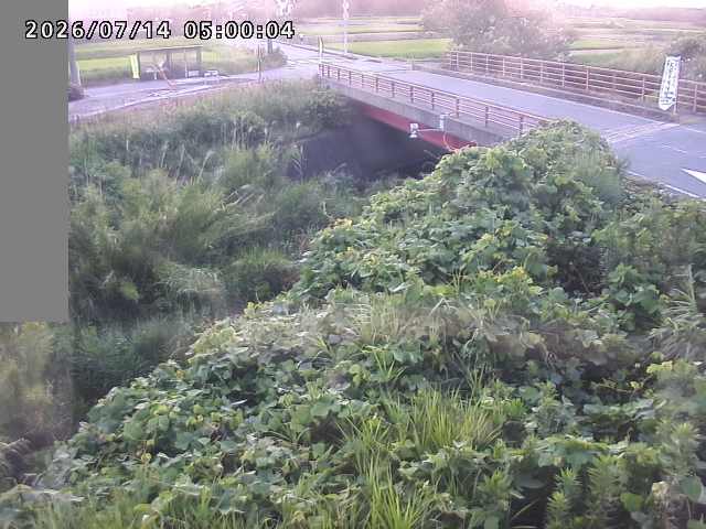 妻木川１2026/07/14 15:20:00