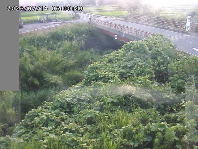 妻木川１2026/07/14 15:20:00