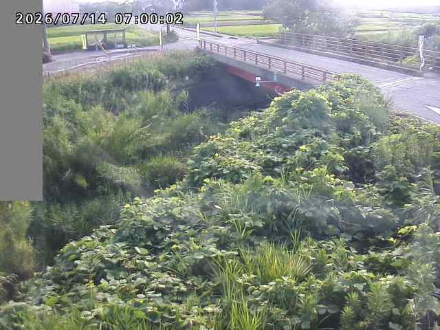 妻木川１2026/07/14 15:20:00
