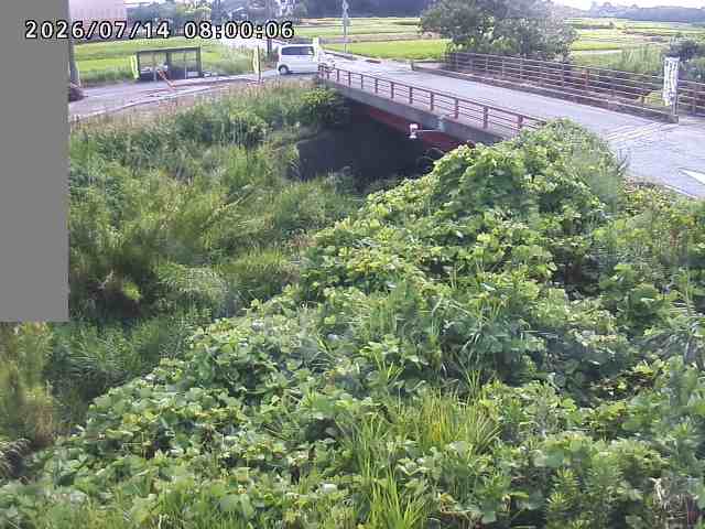 妻木川１2026/07/14 15:20:00
