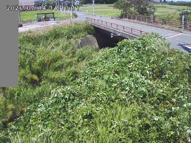 妻木川１2026/07/14 15:20:00