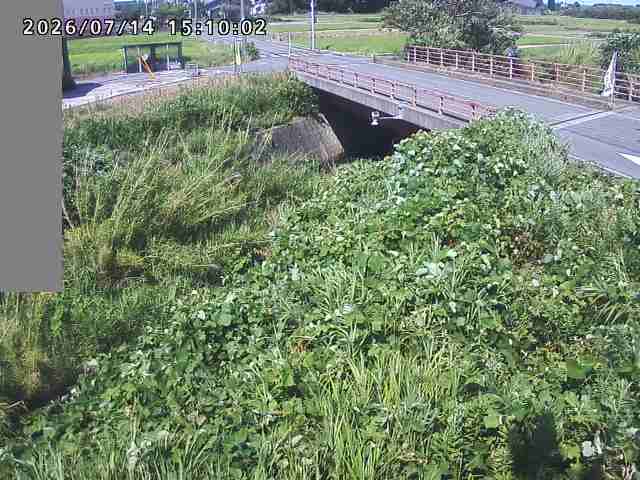妻木川１2026/07/14 15:20:00