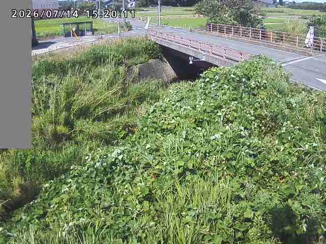 妻木川１2026/07/14 15:20:00