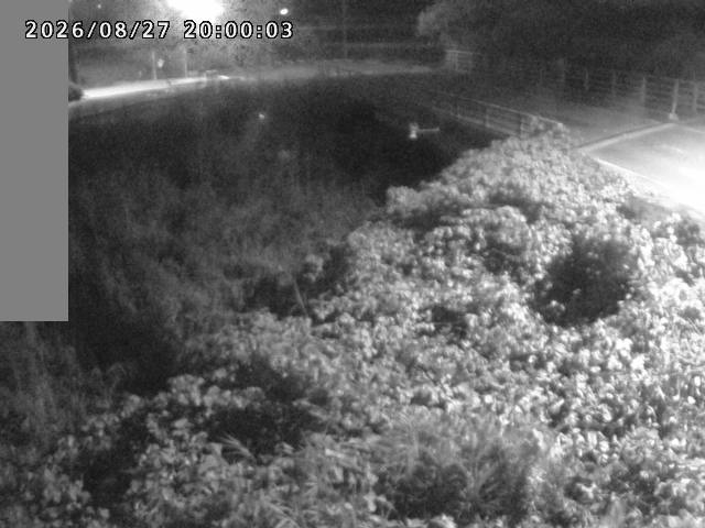 妻木川１2026/08/28 17:30:00