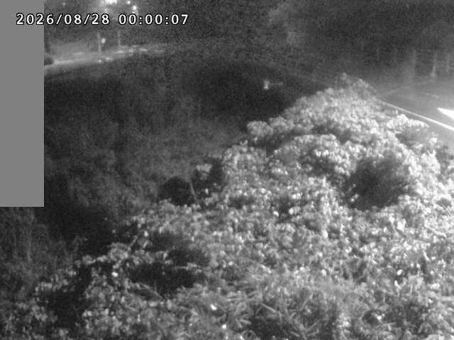 妻木川１2026/08/28 17:30:00