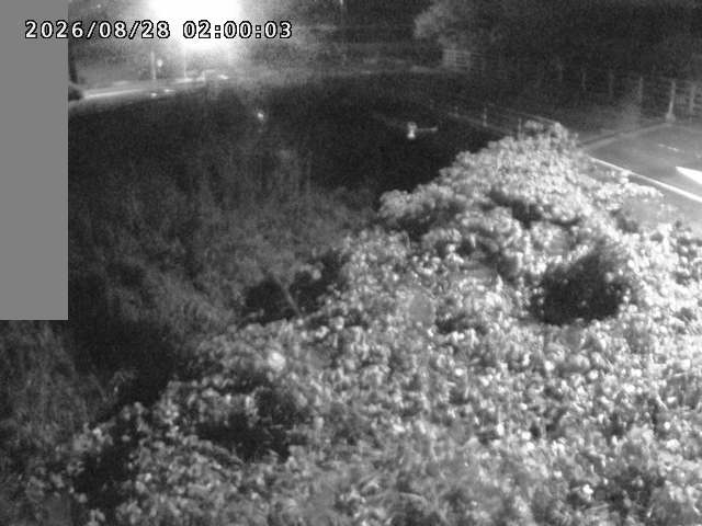妻木川１2026/08/28 17:30:00