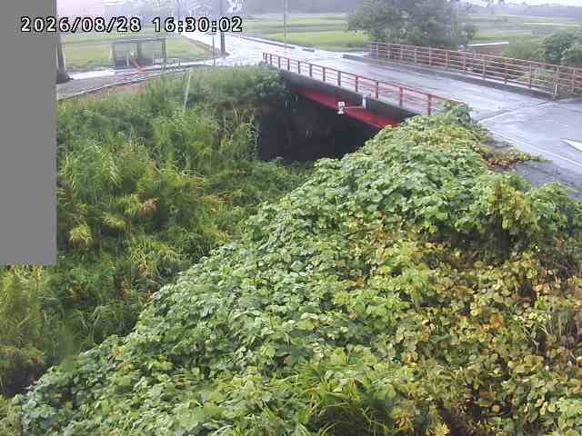 妻木川１2026/08/28 17:30:00