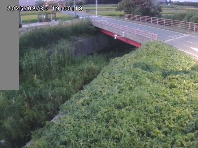 妻木川１2025/08/31 9:10:00
