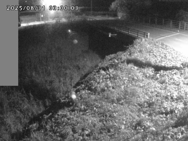 妻木川１2025/08/31 9:10:00