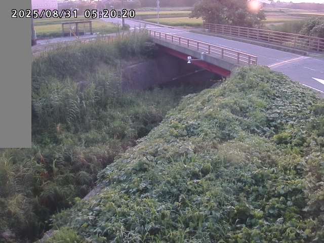 妻木川１2025/08/31 9:10:00