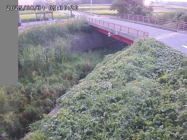 妻木川１2025/08/31 9:10:00