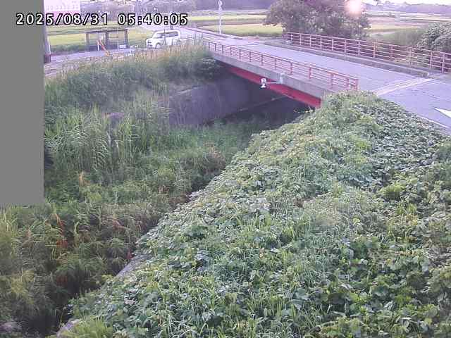 妻木川１2025/08/31 9:10:00