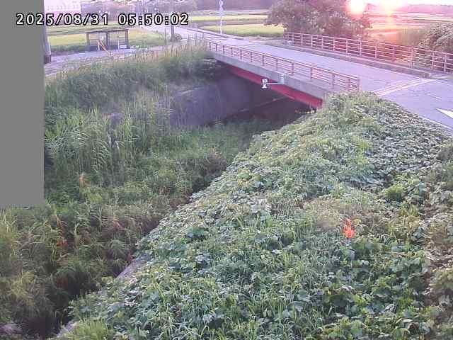 妻木川１2025/08/31 9:10:00