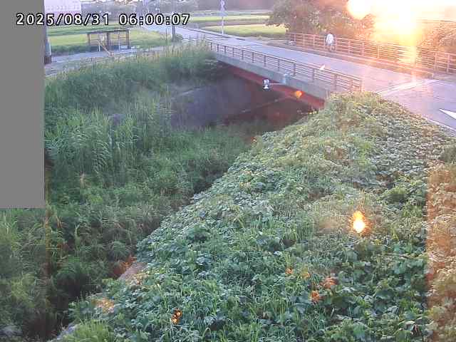 妻木川１2025/08/31 9:10:00