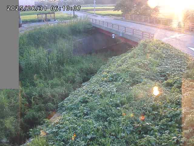 妻木川１2025/08/31 9:10:00