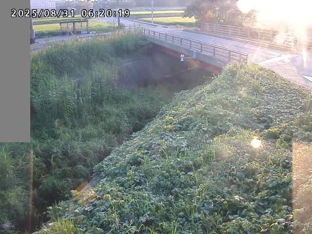 妻木川１2025/08/31 9:10:00