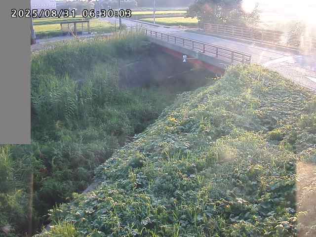 妻木川１2025/08/31 9:10:00