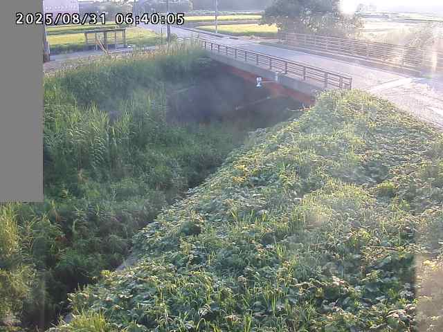 妻木川１2025/08/31 9:10:00