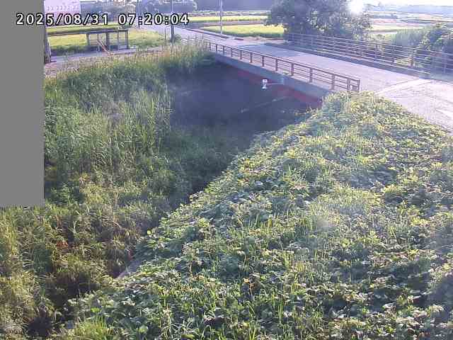 妻木川１2025/08/31 9:10:00