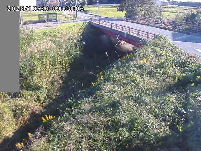 妻木川12025/10/31 07:50