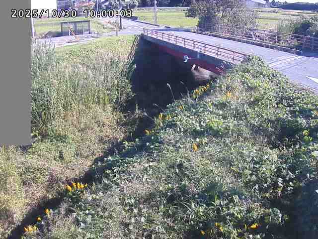 妻木川12025/10/31 07:50