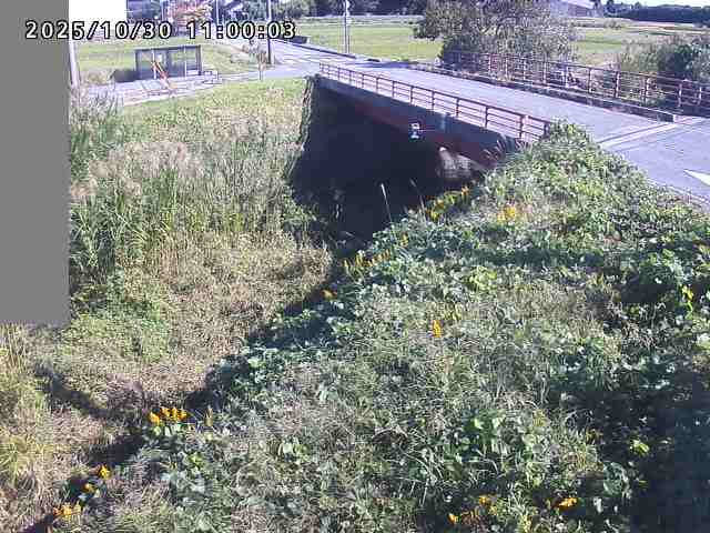 妻木川12025/10/31 07:50