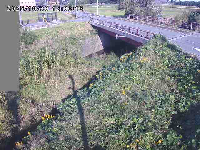 妻木川12025/10/31 07:50